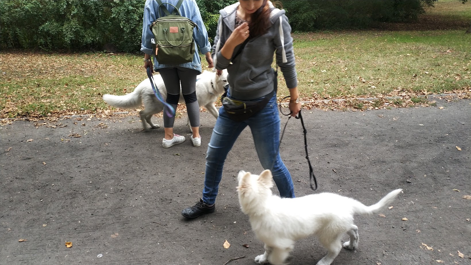 Doświadczenie zawodowe