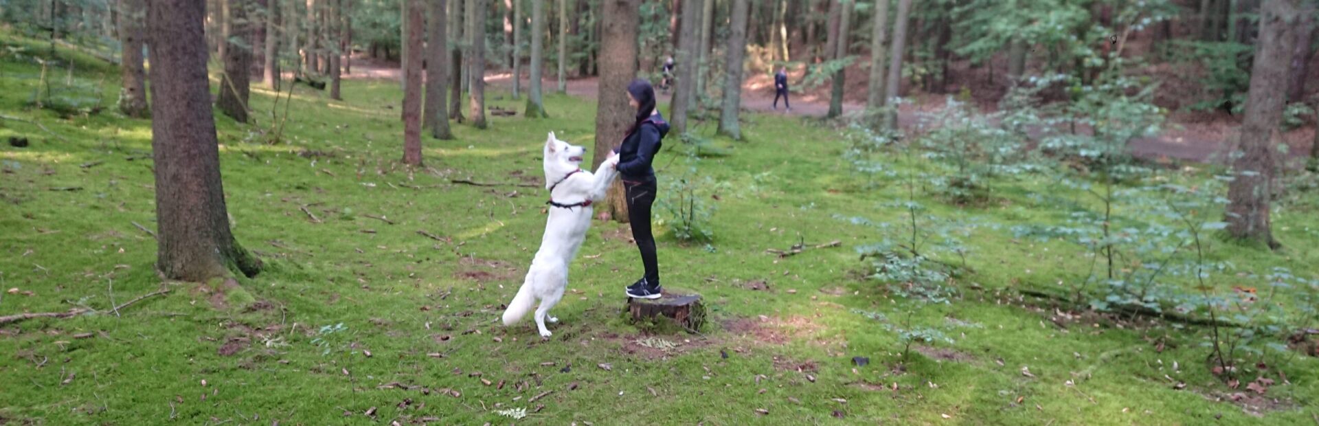 Nie jesteś sam z trudnym psem – wsparcie opiekuna