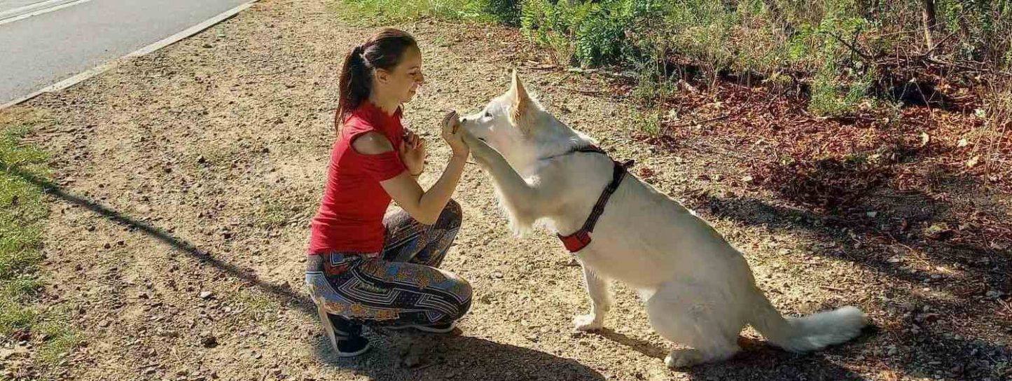 Paula Dzikowicz-Proć