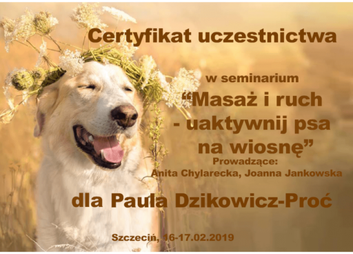 Certyfikat terapia behawioralna