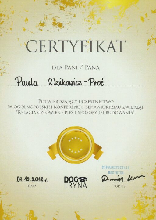 Certyfikat terapia behawioralna