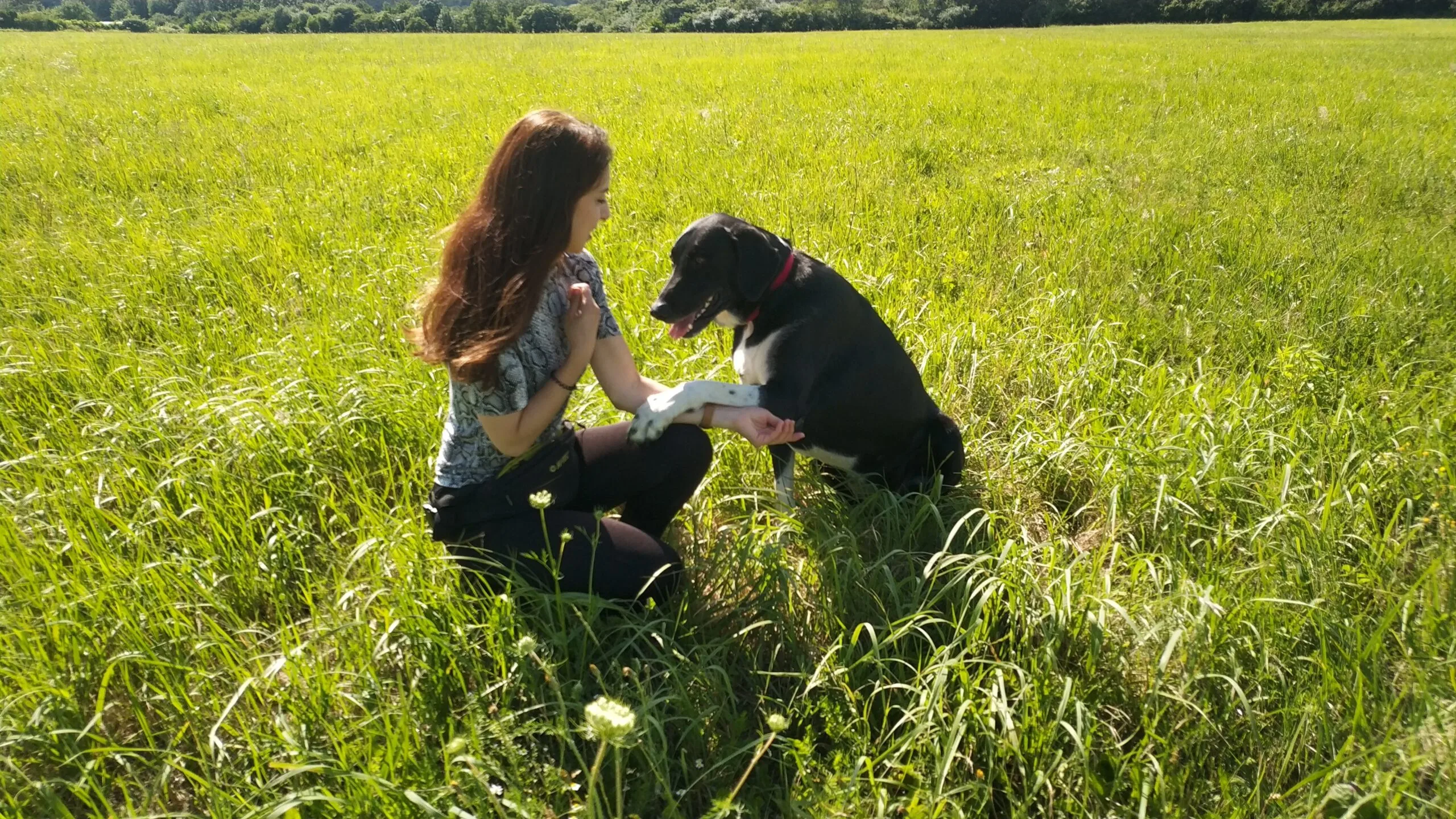 Profesjonalny Trener Psów Szczecin - Paula